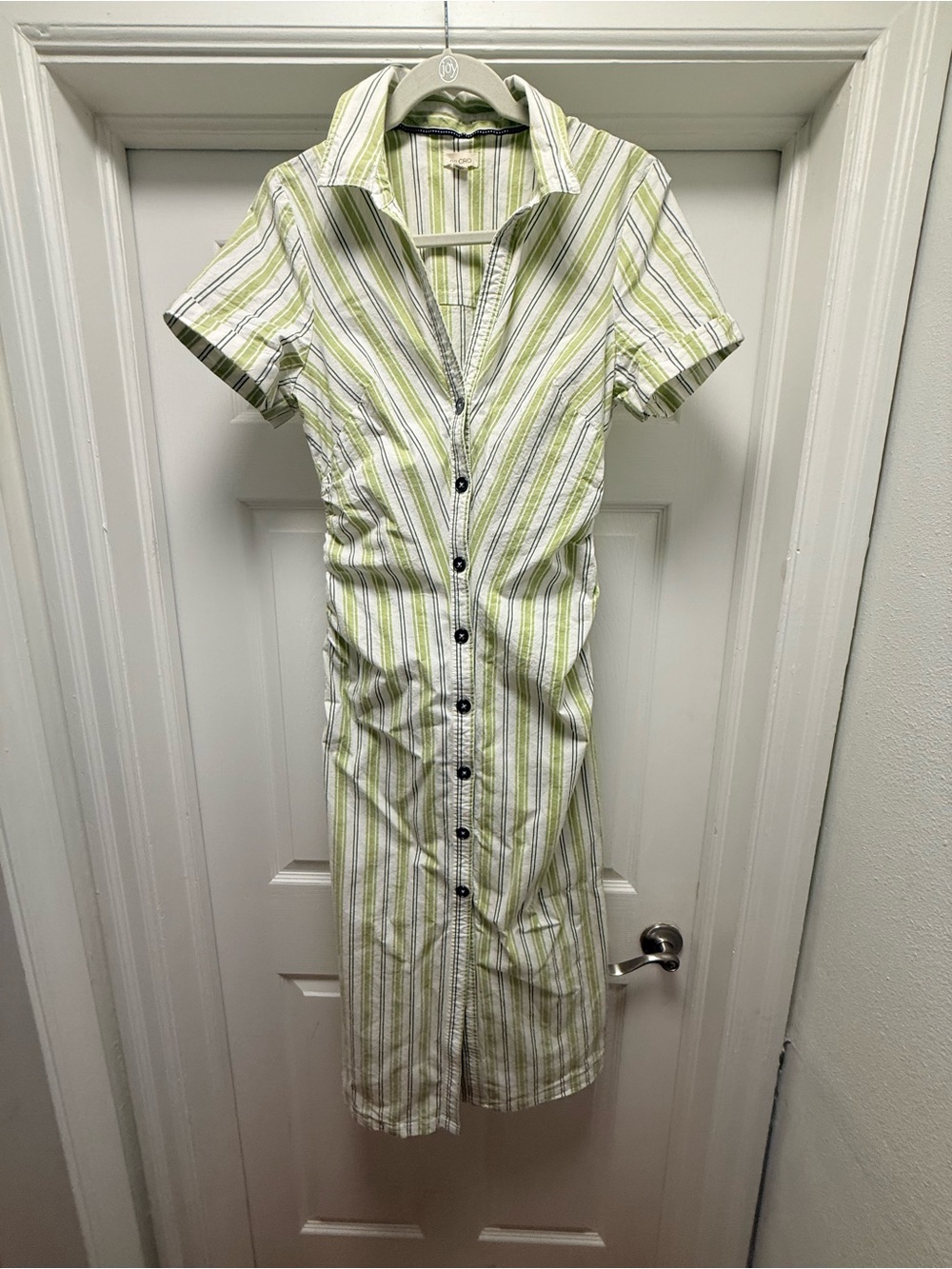 Anthropologie Pilcro Striped Button-Front Shirt Dress in Light Green and White